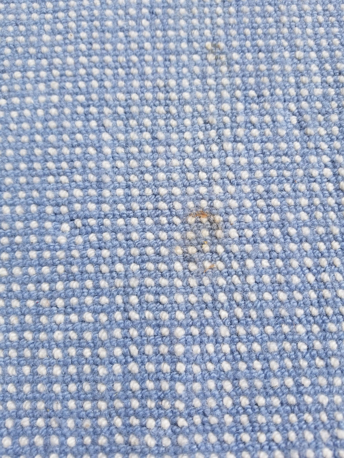 Stark Blue Broadloom Carpet Stark Blue Broadloom Carpet Rafael